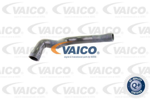 VAICO Radiatora cauruļvads V30-0145