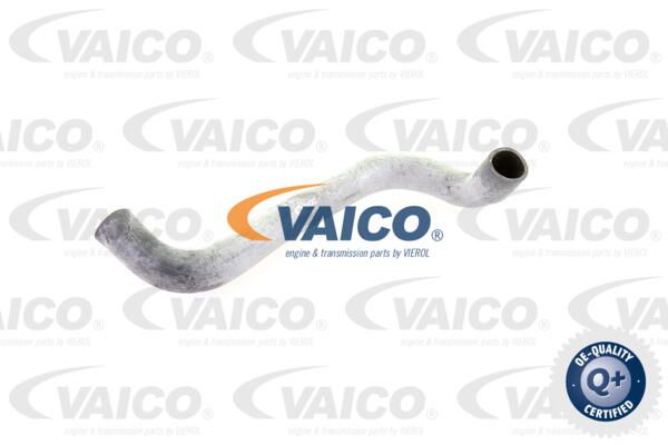VAICO Radiatora cauruļvads V30-0221