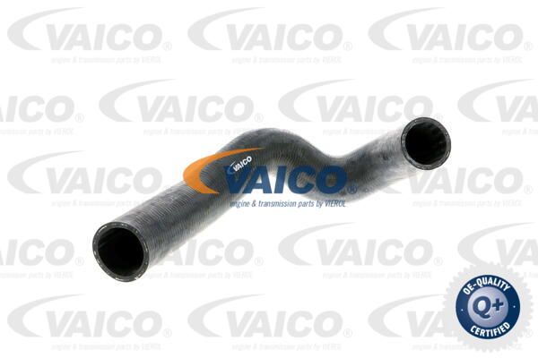VAICO Radiatora cauruļvads V30-0228