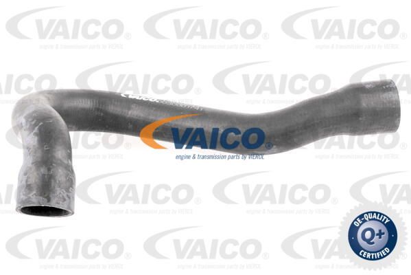 VAICO Radiatora cauruļvads V30-0244