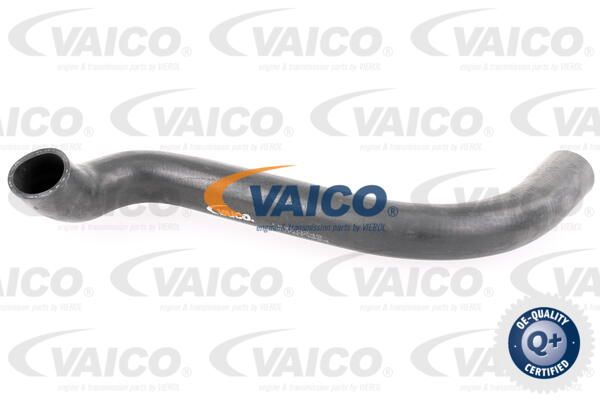 VAICO Radiatora cauruļvads V30-0249