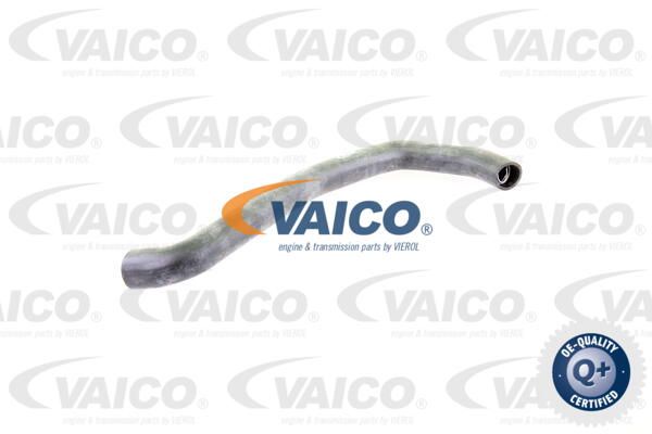 VAICO Radiatora cauruļvads V30-0705