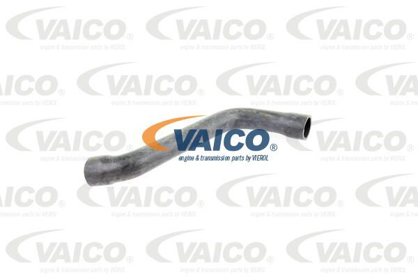 VAICO Radiatora cauruļvads V30-0706