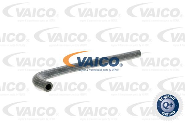 VAICO Radiatora cauruļvads V30-0716
