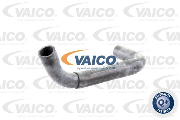 VAICO Radiatora cauruļvads V30-0718