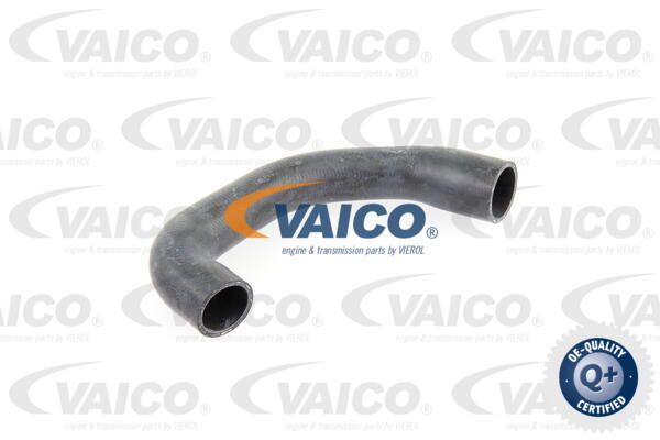 VAICO Radiatora cauruļvads V30-0731