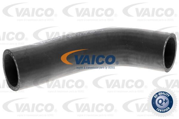 VAICO Radiatora cauruļvads V30-0737