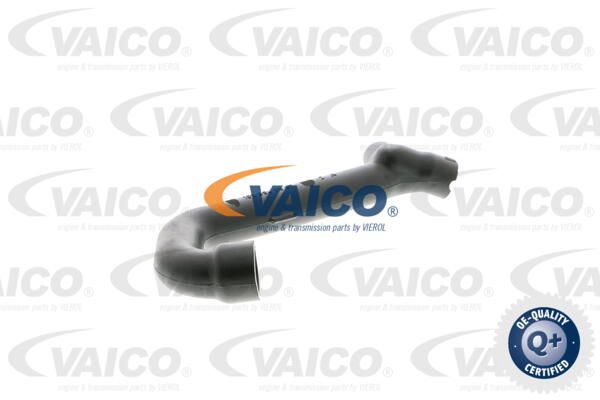 VAICO Шланг, воздухоотвод крышки головки цилиндра V30-0793