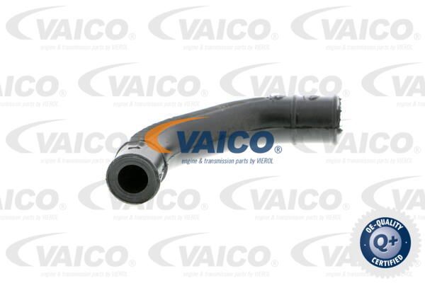 VAICO Шланг, воздухоотвод крышки головки цилиндра V30-0794