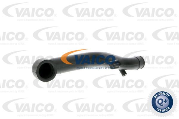VAICO Šļūtene, Motora galvas vāka ventilācija V30-0796