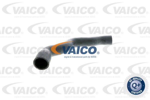 VAICO Radiatora cauruļvads V30-1575