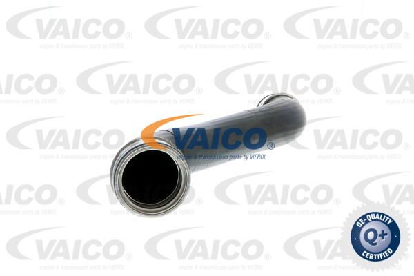 VAICO Трубка нагнетаемого воздуха V30-1792