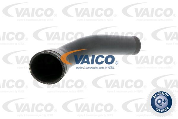 VAICO Pūtes sistēmas gaisa caurule V30-1796