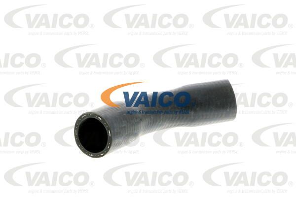 VAICO Radiatora cauruļvads V30-2055