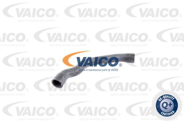VAICO Radiatora cauruļvads V30-2099