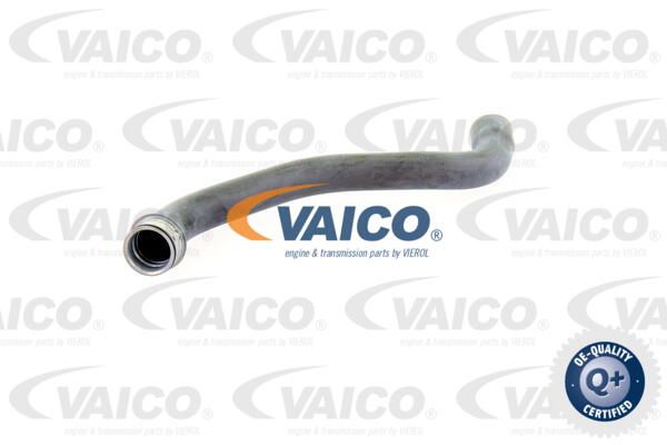 VAICO Radiatora cauruļvads V30-2227