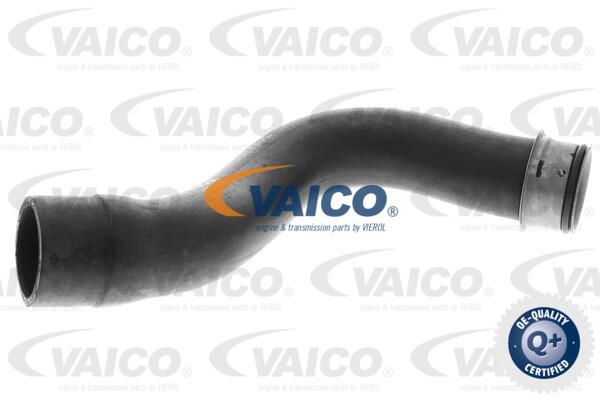 VAICO Radiatora cauruļvads V30-2237