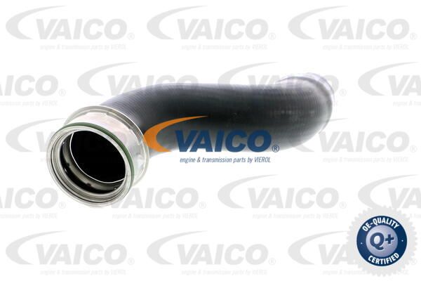 VAICO Pūtes sistēmas gaisa caurule V30-2244