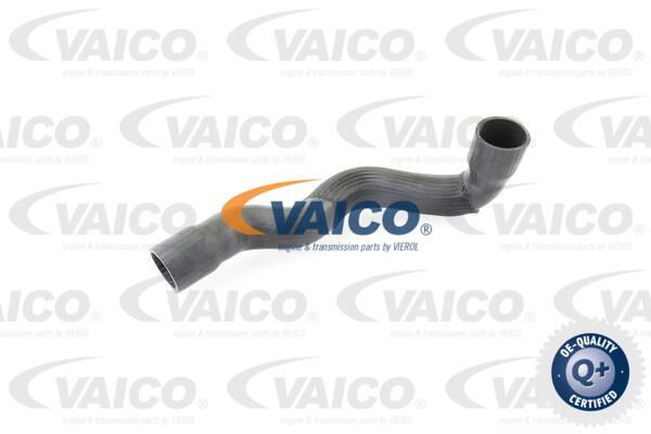 VAICO Pūtes sistēmas gaisa caurule V30-2249