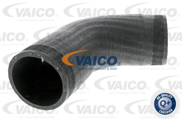 VAICO Трубка нагнетаемого воздуха V30-2451