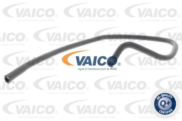 VAICO Radiatora cauruļvads V30-3150