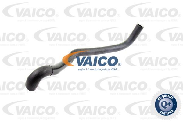 VAICO Radiatora cauruļvads V30-8314