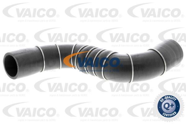 VAICO Pūtes sistēmas gaisa caurule V38-9602