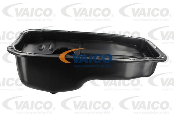 VAICO Eļļas vācele V40-0020