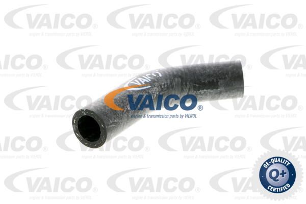 VAICO Radiatora cauruļvads V40-0367