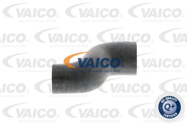 VAICO Radiatora cauruļvads V40-0370