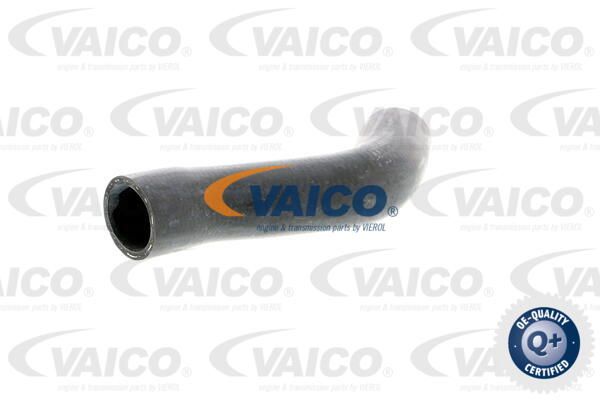 VAICO Radiatora cauruļvads V40-1334