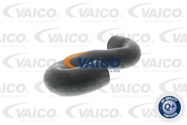VAICO Radiatora cauruļvads V40-1336