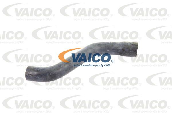 VAICO Radiatora cauruļvads V40-1338