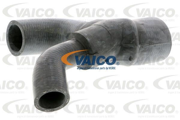 VAICO Radiatora cauruļvads V40-1340