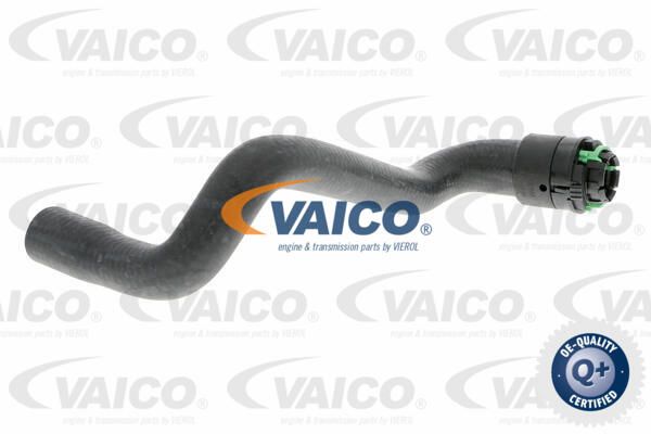 VAICO Radiatora cauruļvads V40-1347