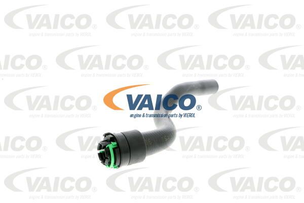VAICO Radiatora cauruļvads V40-1353