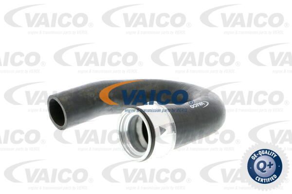 VAICO Трубка нагнетаемого воздуха V40-1363