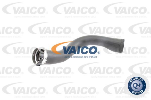 VAICO Трубка нагнетаемого воздуха V40-1364