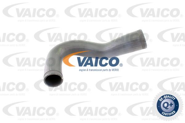 VAICO Трубка нагнетаемого воздуха V40-1365