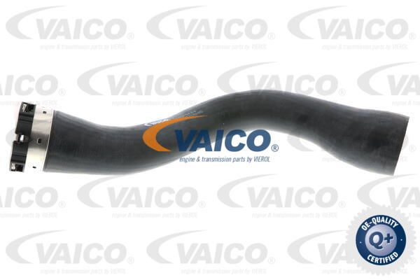 VAICO Трубка нагнетаемого воздуха V40-1444