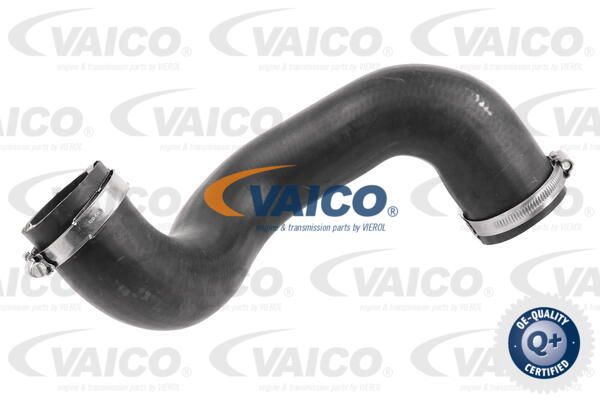 VAICO Трубка нагнетаемого воздуха V48-0072