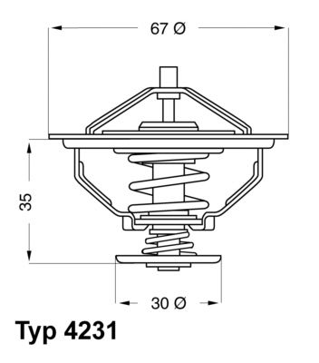 WAHLER Термостат, охлаждающая жидкость 4231.80D