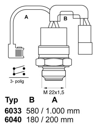 WAHLER Termoslēdzis, Radiatora ventilators 6033.88