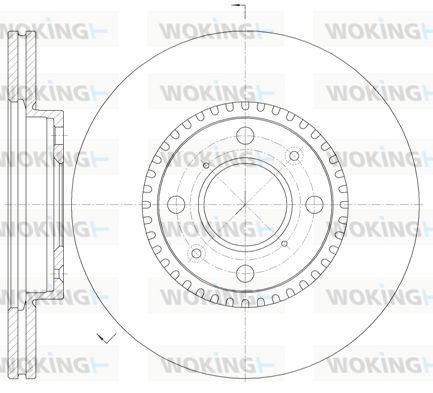 WOKING Bremžu diski D61002.10