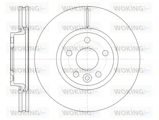 WOKING Bremžu diski D61019.10