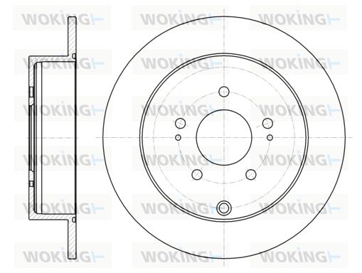 WOKING Bremžu diski D61098.00