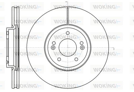 WOKING Bremžu diski D61102.10