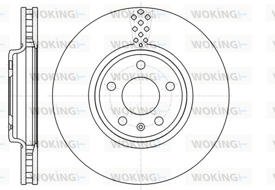 WOKING Bremžu diski D61110.10