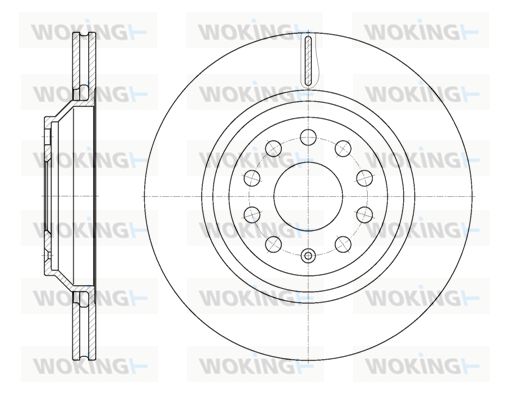 WOKING Bremžu diski D61172.10