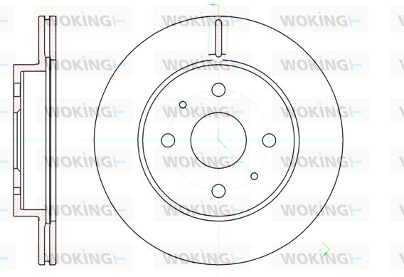 WOKING Bremžu diski D61190.10